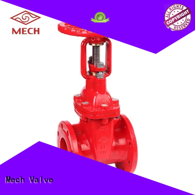 rising stem gate valve | Mech Valve