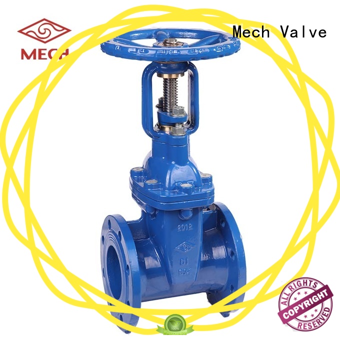 rising double flanged gate valve seal