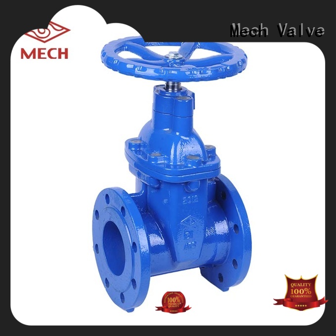 Wedge Valve BS 5163 Flanged Resilient NRS Gate Valve, Type A (Z45X), PN10/16