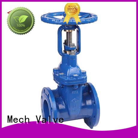 Mech Valve rising resilient wedge gate valve iron