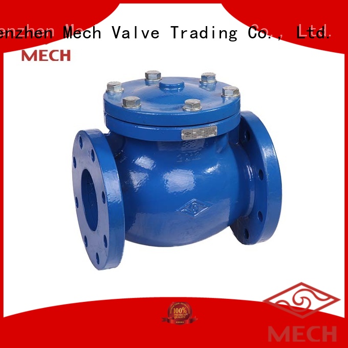 Mech Valve silent double door wafer check valve spring for sewage