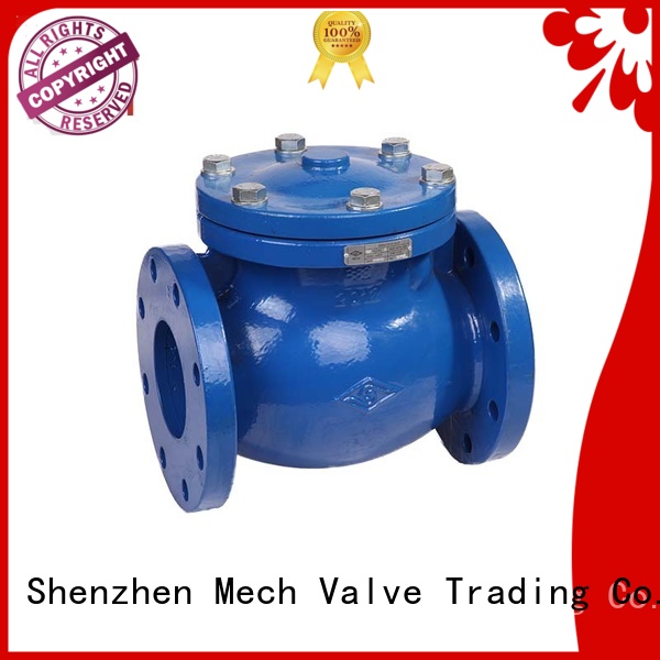 door check valve spring water transportation Mech Valve