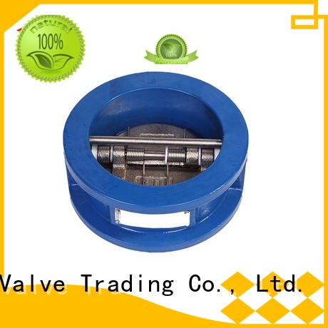 Mech Valve double swing check valve buy now water transportation