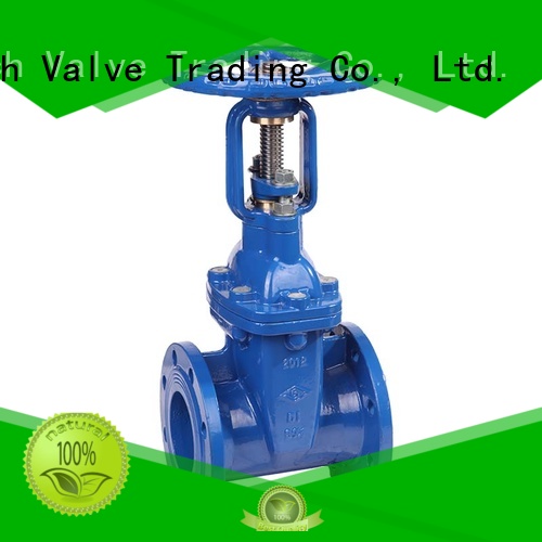 Mech Valve flanged gate valve at discount for wholesale