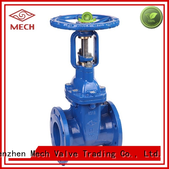 durable resilient gate valve hot-sale disposal Mech Valve