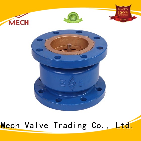 double swing check valve for sewage