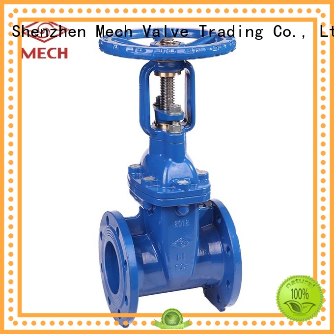 BS 5163 Flanged Resilient OS&Y Gate Valve, Type B (Z41XB), PN10/16