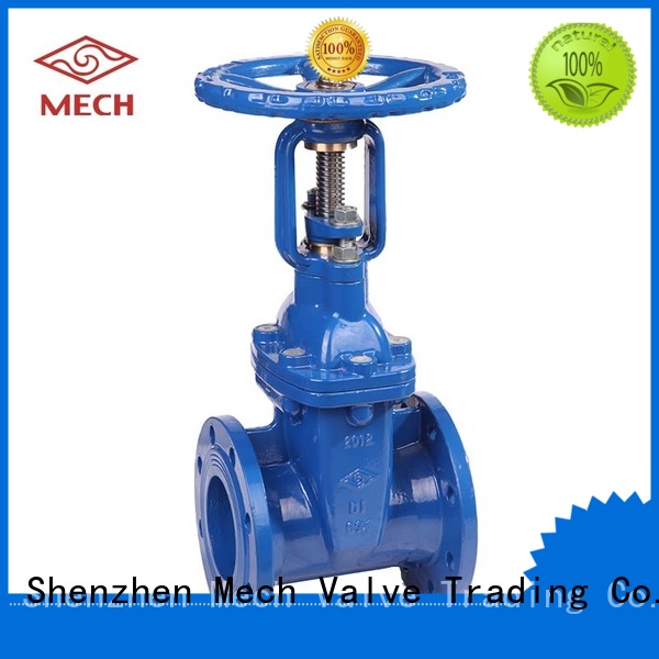 Mech Valve seated resilient wedge gate valve seal