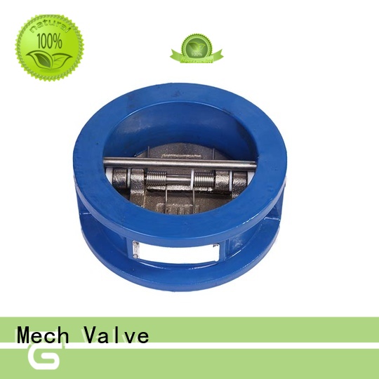 Mech Valve door swing type check valve spring energy