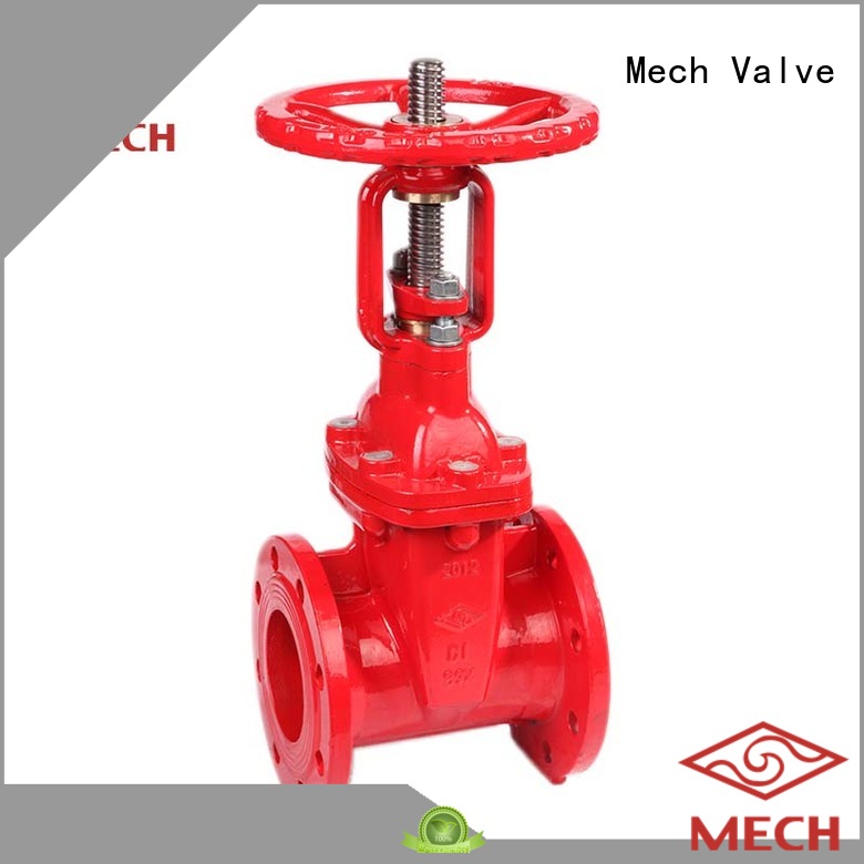 Mech Valve hot-sale water gate valve iron chemical