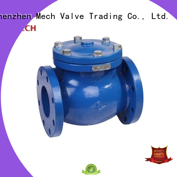 Swing Check Valve BS EN 12334 (H44X, H44T), PN10/16