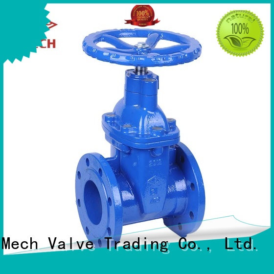 Mech Valve hot-sale double flanged gate valve seal chemical