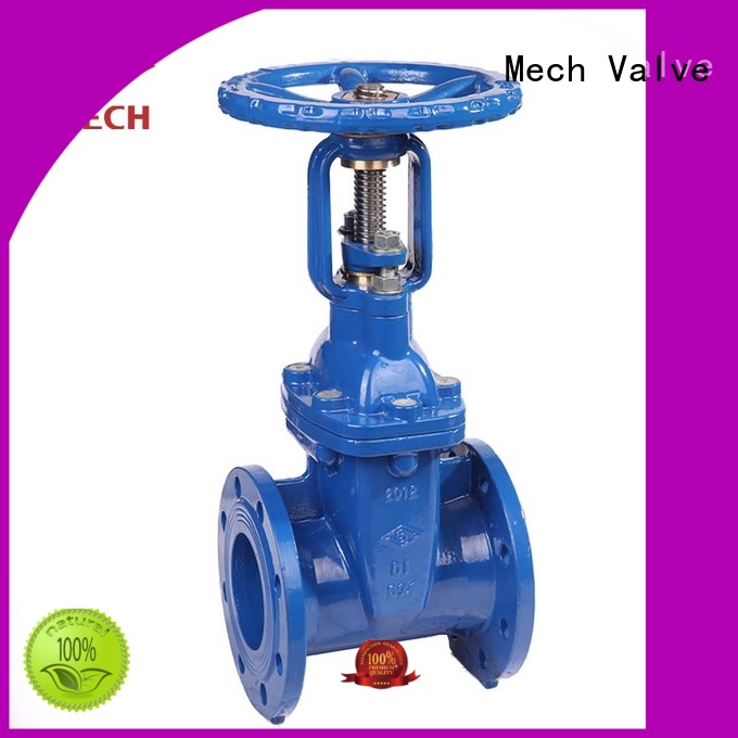 Mech Valve New globe check valve company chemical