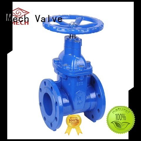 Mech Valve high quality swing type check valve manufacturers for potable