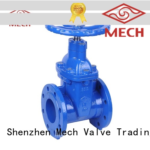 Mech Valve Custom electric gate valve factory industry