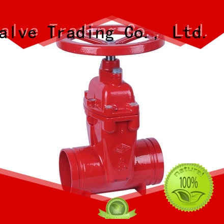 Custom angle globe valve high quality manufacturers energy